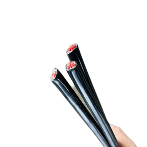 SkyBet��ա�(�й���)�����������ٷ�