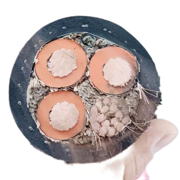 SkyBet天空·(中国区)体育中文网官方