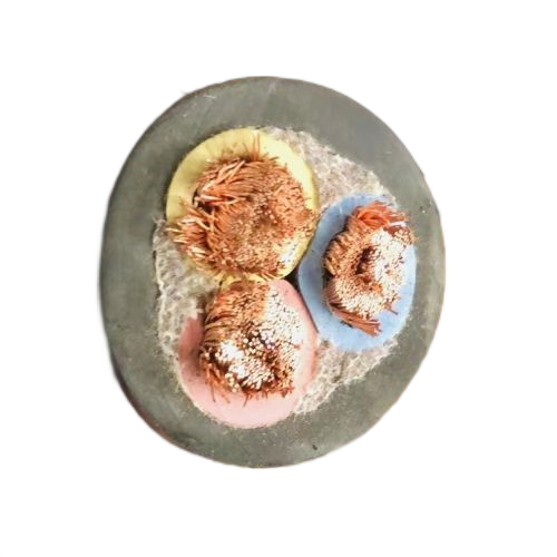 SkyBet天空·(中国区)体育中文网官方