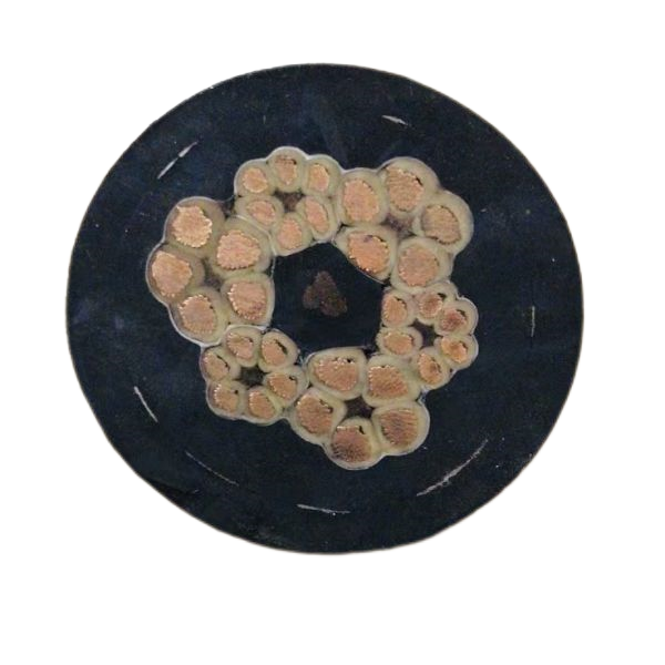 SkyBet��ա�(�й���)�����������ٷ�