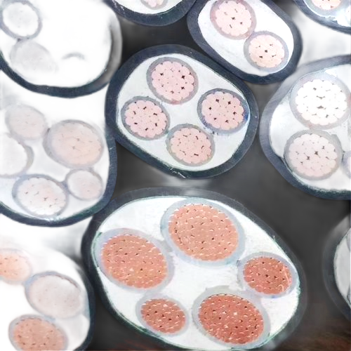 SkyBet天空·(中国区)体育中文网官方