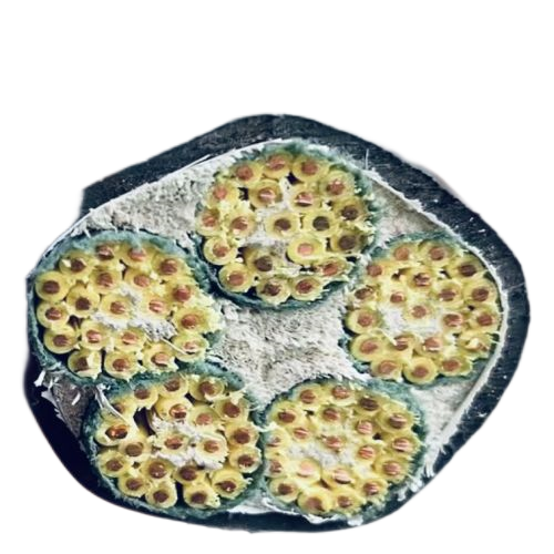 SkyBet��ա�(�й���)�����������ٷ�