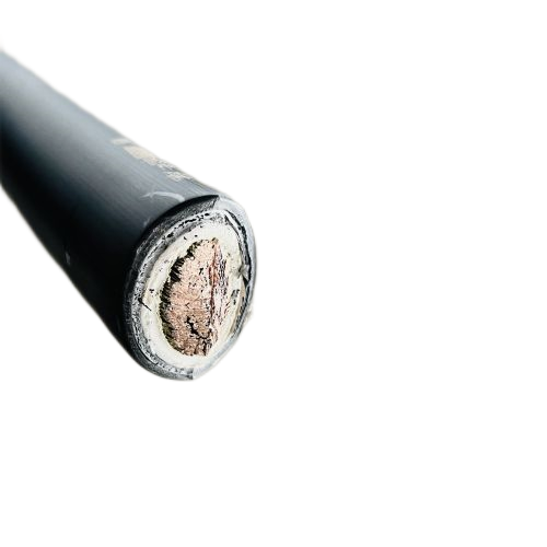 SkyBet��ա�(�й���)�����������ٷ�