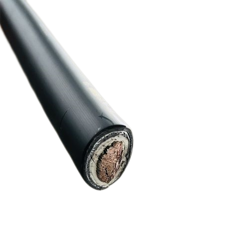 SkyBet��ա�(�й���)�����������ٷ�