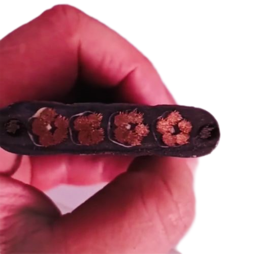 SkyBet��ա�(�й���)�����������ٷ�