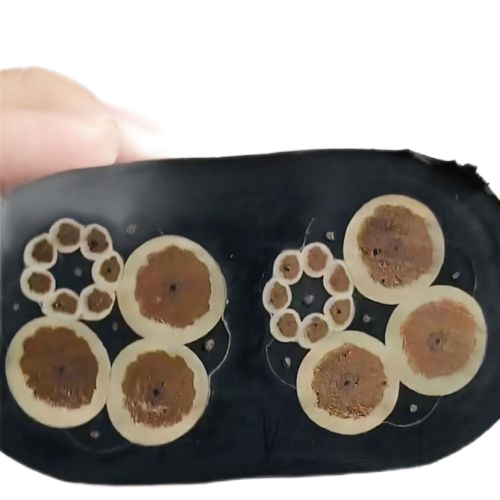 SkyBet天空·(中国区)体育中文网官方