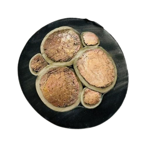 SkyBet��ա�(�й���)�����������ٷ�