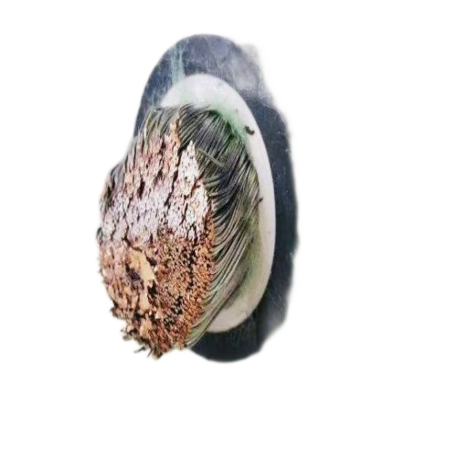 SkyBet��ա�(�й���)�����������ٷ�