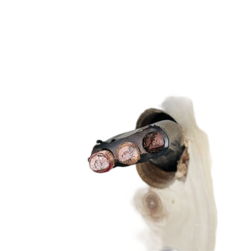 SkyBet天空·(中国区)体育中文网官方