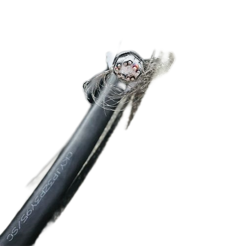 SkyBet天空·(中国区)体育中文网官方