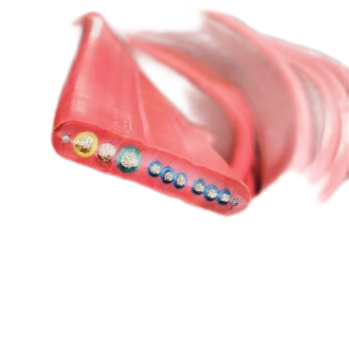 SkyBet��ա�(�й���)�����������ٷ�