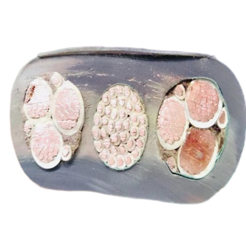 SkyBet天空·(中国区)体育中文网官方