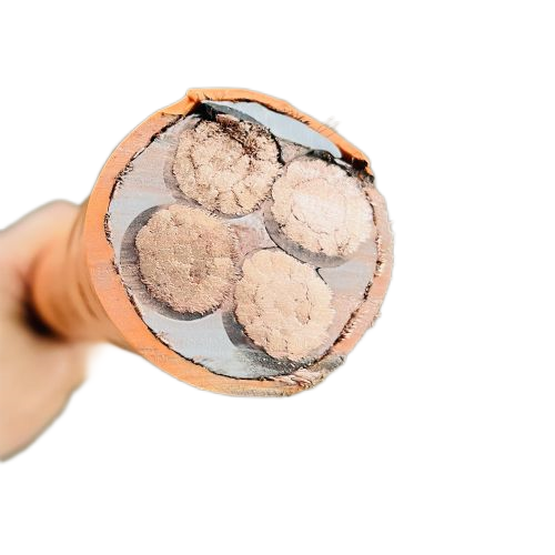 SkyBet天空·(中国区)体育中文网官方