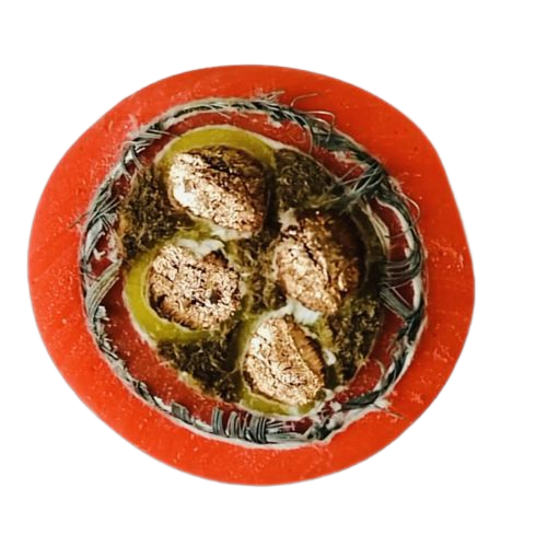 SkyBet天空·(中国区)体育中文网官方