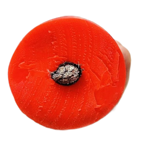 SkyBet天空·(中国区)体育中文网官方