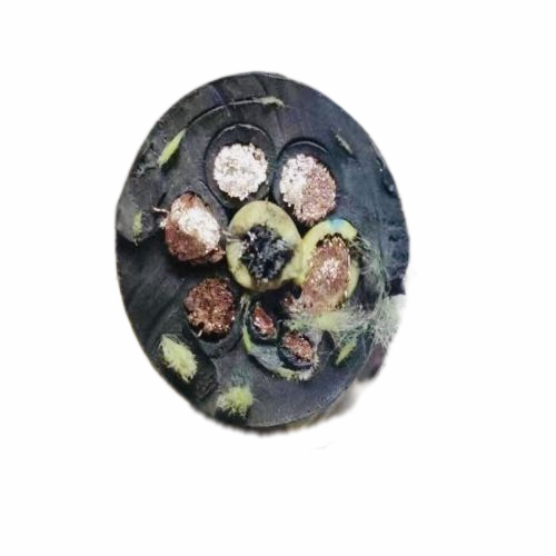 SkyBet天空·(中国区)体育中文网官方